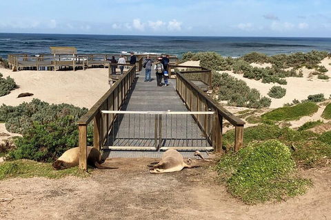 Kangaroo Island 4WD Tour - Best Of KI - Tweed Heads Accommodation 2