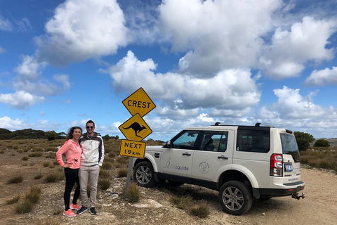 Kangaroo Island 4WD Tour - Best Of KI - Tweed Heads Accommodation 5