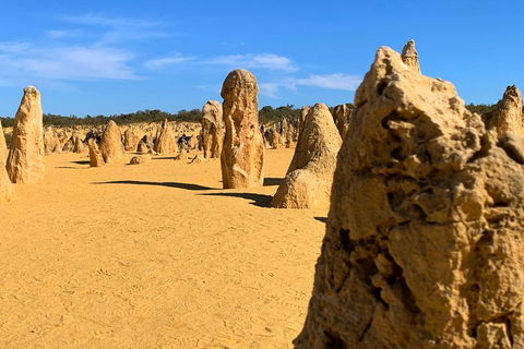 Pinnacles Desert (Private) Day Tour - Tweed Heads Accommodation 0