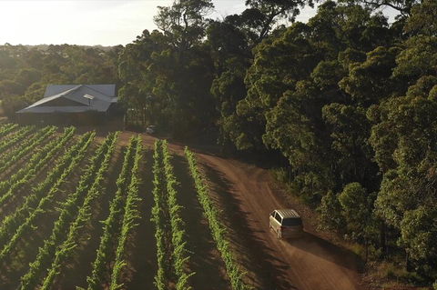 The All About Margaret River Tour: Wine, Coffee, Lunch And Forest - Tweed Heads Accommodation 1