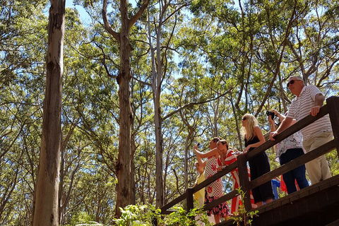 The All About Margaret River Tour: Wine, Coffee, Lunch And Forest - Tweed Heads Accommodation 3