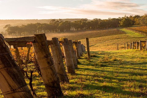 The All About Margaret River Tour: Wine, Coffee, Lunch And Forest - Tweed Heads Accommodation 5