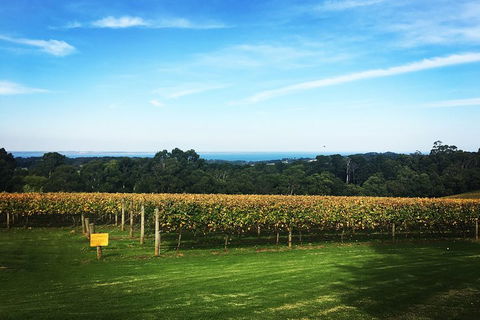 Yarra Valley Private Car Winery Tour And Chocolate.1-7 Passengers One Car Price - Tweed Heads Accommodation 0