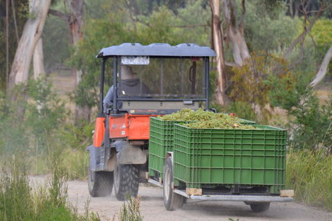 Yarra Valley Private Car Winery Tour And Chocolate.1-7 Passengers One Car Price - Tweed Heads Accommodation 1