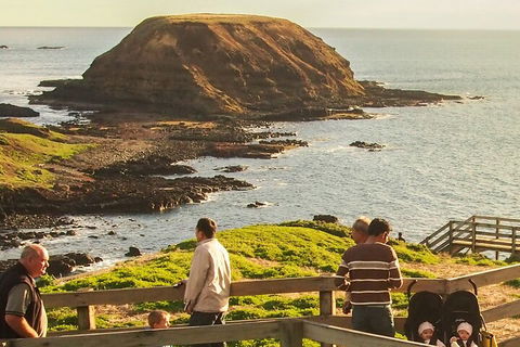Healesville Sanctuary And Phillip Island Wildlife Bus Tour - Tweed Heads Accommodation 3