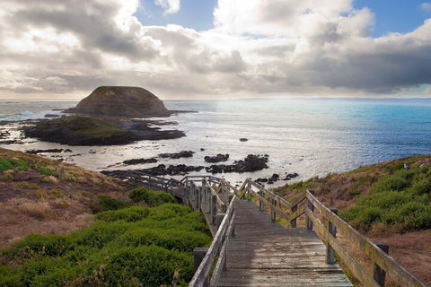Healesville Sanctuary And Phillip Island Wildlife Bus Tour - Tweed Heads Accommodation 5