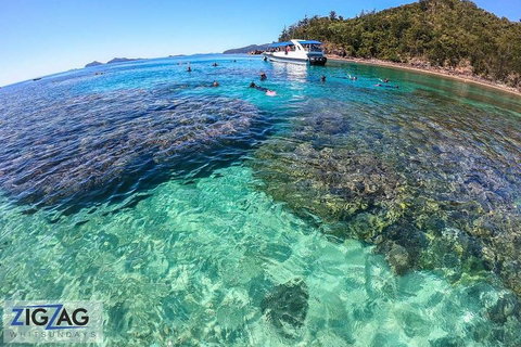 Whitehaven Beach Day Tour With Snorkel In Whitsundays Island - Tweed Heads Accommodation 5