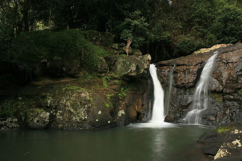 Hinterland Magic & Glow-worm Experience - Tweed Heads Accommodation 2