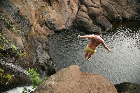 Hinterland Magic & Glow-worm Experience - Tweed Heads Accommodation 3