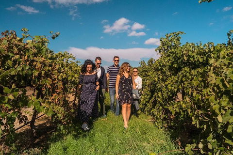 Barossa Valley Private Tour (from 2 To 11 People) - Tweed Heads Accommodation 0