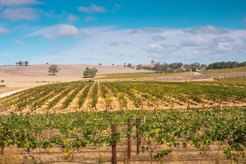 Barossa Valley Private Tour (from 2 To 11 People) - Tweed Heads Accommodation 2