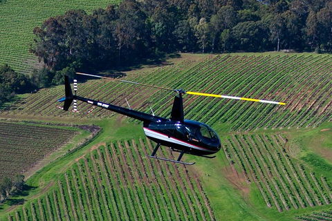 Hunter Valley Wine Country Helicopter Flight From Cessnock - Tweed Heads Accommodation 3