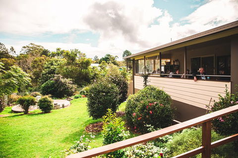 Full-day Springbrook National Park Tour From The Gold Coast - Tweed Heads Accommodation 2