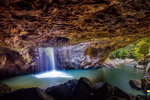 Full-day Springbrook National Park Tour From The Gold Coast - Tweed Heads Accommodation 3