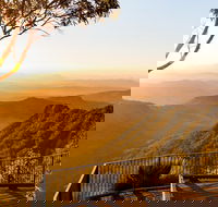 O'Reilly's  Lamington National Park incl. Alpaca Farm  Vineyard - Tweed Heads Accommodation