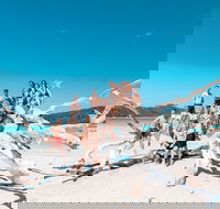 4 Day  3 Night Whitsunday Islands  Outer Reef Sailing Adventure on Condor - Tweed Heads Accommodation