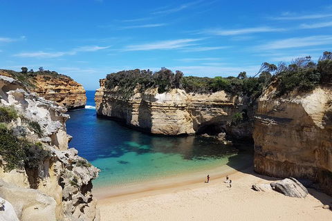 Helicopter Flight + Fine Dining Private Luxury Great Ocean Road Tour - Tweed Heads Accommodation 1