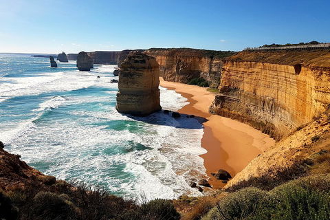 Helicopter Flight + Fine Dining Private Luxury Great Ocean Road Tour - Tweed Heads Accommodation 4