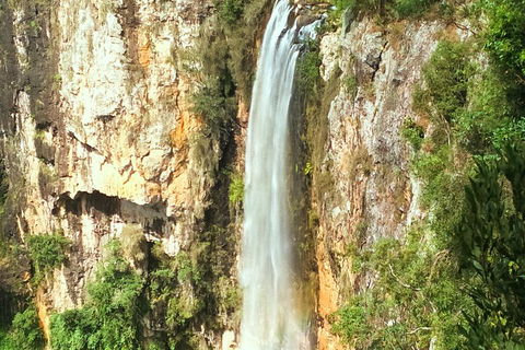Natural Arch, Rainforest & Volcano Canyon - Private Half Day Tour - Tweed Heads Accommodation 2