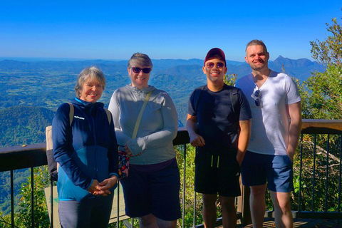 Natural Arch, Rainforest & Volcano Canyon - Private Half Day Tour - Tweed Heads Accommodation 3