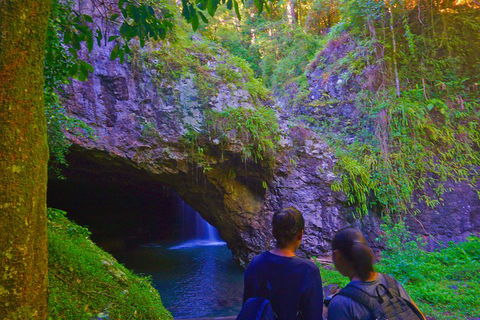 Natural Arch, Rainforest & Volcano Canyon - Private Half Day Tour - Tweed Heads Accommodation 4
