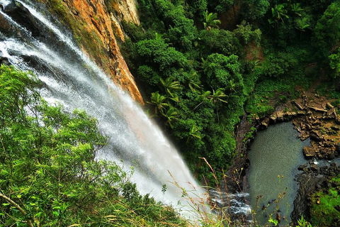 Natural Arch, Rainforest & Volcano Canyon - Private Half Day Tour - Tweed Heads Accommodation 5