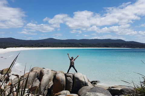 Tasmania 4 Day East Coast + Launceston - Tweed Heads Accommodation 1