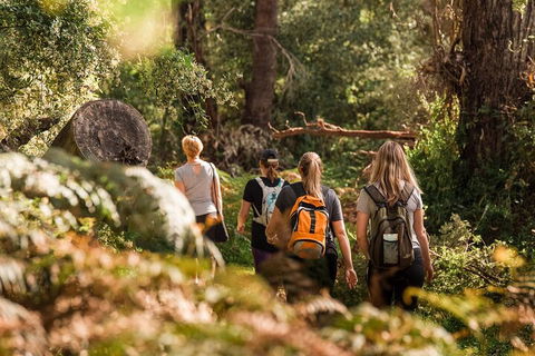 Cabaret Cave Yoga & Mindful Hike - Tweed Heads Accommodation 2