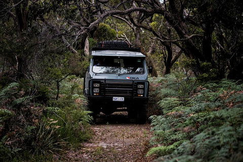 Phillip Island And French Island Wildlife Expedition - Tweed Heads Accommodation 4
