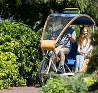 Adelaide 90-Minute Pedicab Tour Scenic Green  River Experience - Tweed Heads Accommodation