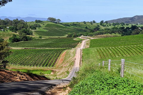 The Complete Hunter Valley Wine Tour Of Pokolbin, Mt View, Lovedale And Rothbury - Tweed Heads Accommodation 0