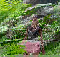 Full-Day Guided Hinterland Adventure Tour in Queensland - Tweed Heads Accommodation