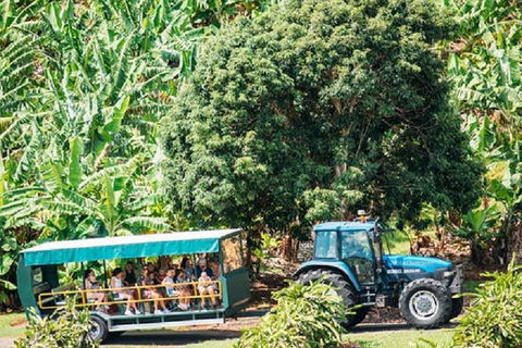 Tropical Fruit World With Wildlife Boat Cruise From Gold Coast - Tweed Heads Accommodation 1