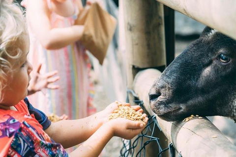 Tropical Fruit World With Wildlife Boat Cruise From Gold Coast - Tweed Heads Accommodation 5