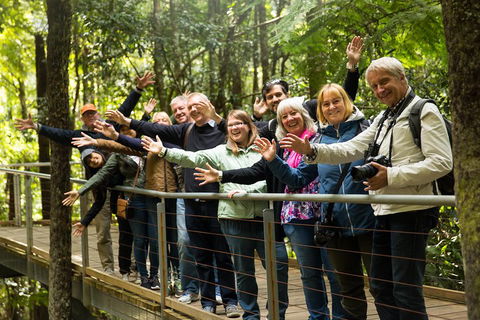 All Inclusive Blue Mountains Small-Group Day Trip From Sydney - Tweed Heads Accommodation 5