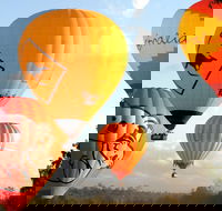 Natural Bridge  Springbrook Waterfalls Tour  Hot Air Balloon with Breakfast - Tweed Heads Accommodation