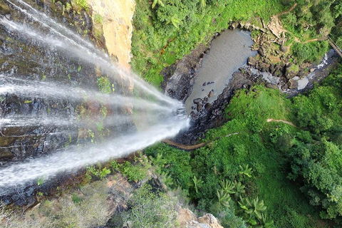 Natural Bridge & Springbrook Waterfalls Tour + Hot Air Balloon With Breakfast - Tweed Heads Accommodation 1