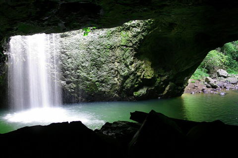 Natural Bridge & Springbrook Waterfalls Tour + Hot Air Balloon With Breakfast - Tweed Heads Accommodation 2