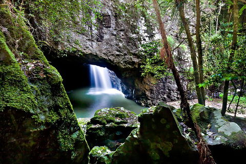 Natural Bridge & Springbrook Waterfalls Tour + Hot Air Balloon With Breakfast - Tweed Heads Accommodation 4