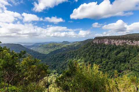 Natural Bridge & Springbrook Waterfalls Tour - Tweed Heads Accommodation 1