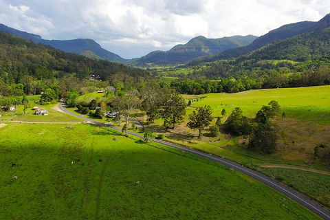 Natural Bridge & Springbrook Waterfalls Tour - Tweed Heads Accommodation 2