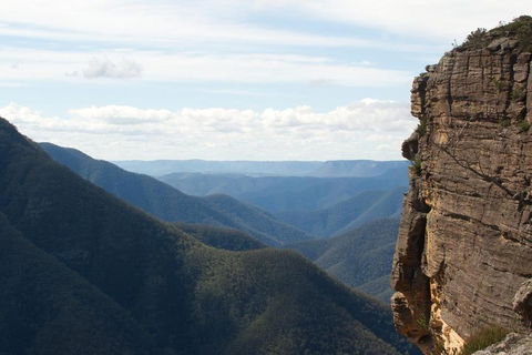 Inside The Greater Blue Mountains World Heritage - A Private Wildlife Safari Overnight - Tweed Heads Accommodation 4