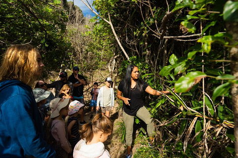 Cape Byron Aboriginal Tour - Tweed Heads Accommodation 4