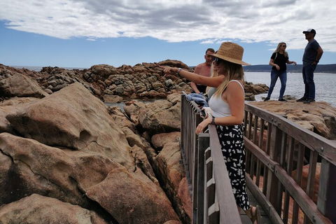 Margaret River Impression Day Tour From Perth - Tweed Heads Accommodation 4