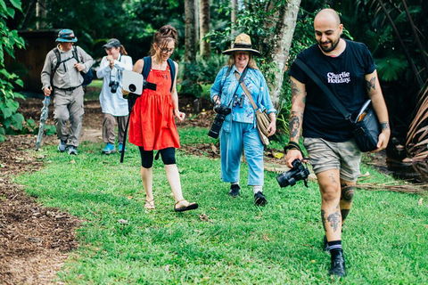 Let's Go Buggin & Let's Go Shroomin - Photography & Nature Walking Tours - Tweed Heads Accommodation 0
