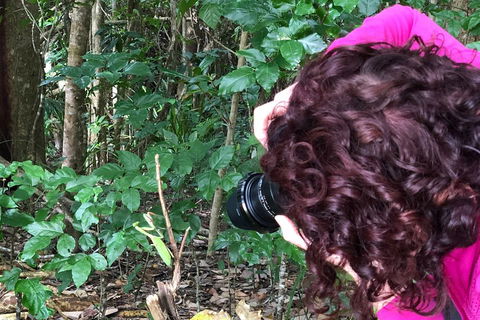 Let's Go Buggin & Let's Go Shroomin - Photography & Nature Walking Tours - Tweed Heads Accommodation 1