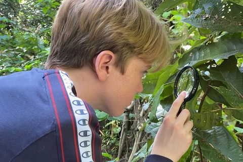 Let's Go Buggin & Let's Go Shroomin - Photography & Nature Walking Tours - Tweed Heads Accommodation 3
