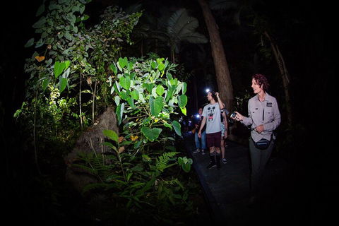 Let's Go Buggin & Let's Go Shroomin - Photography & Nature Walking Tours - Tweed Heads Accommodation 4