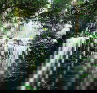 Mt Field National Park and Russell Falls from Hobart - Tweed Heads Accommodation