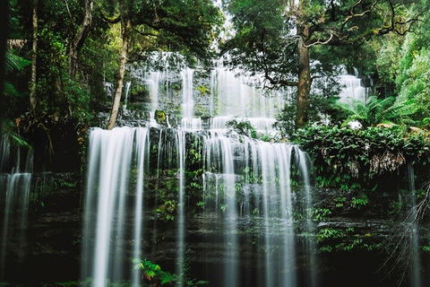 Mt Field National Park And Russell Falls From Hobart - Tweed Heads Accommodation 0